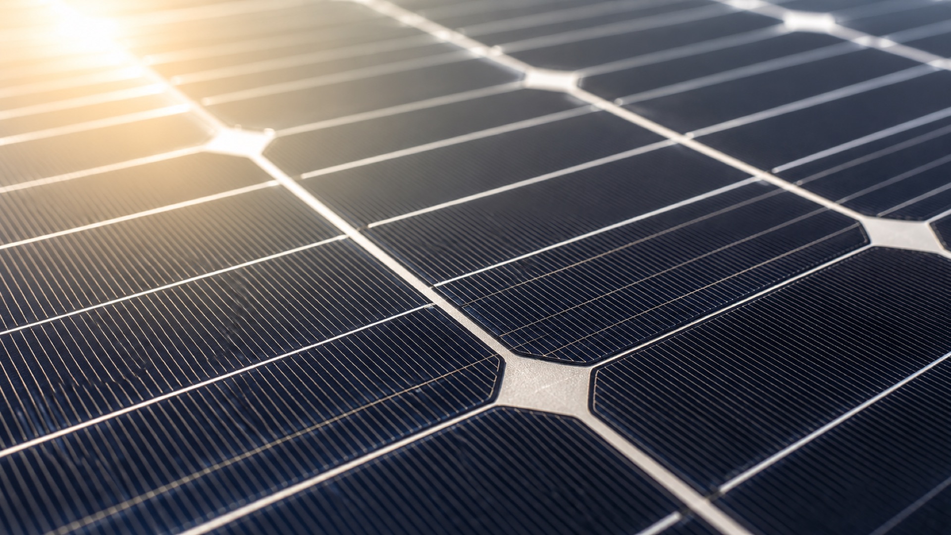 Symbolbild: Nahaufnahme monokristalliner Solarzellen im Sonnenlicht